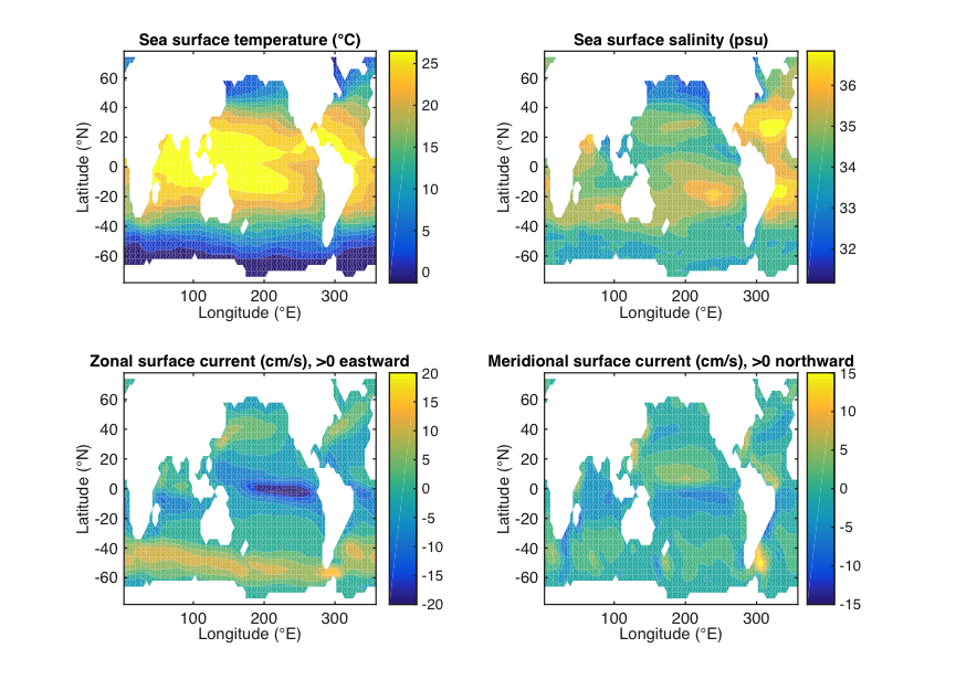 Simulation images of sea surface state after 2 years